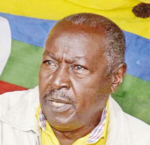 NRM elections1