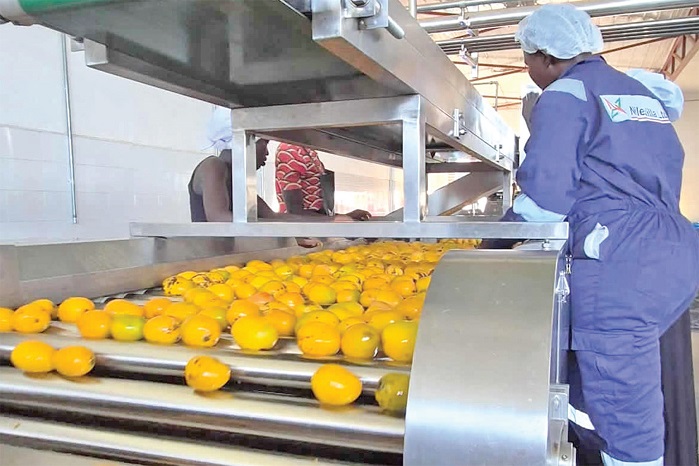 Nilezella factory YUMBE unveiled