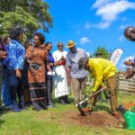 dfcu foundation2
