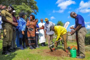 dfcu foundation2