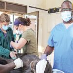 Chimpanzee on contraceptives