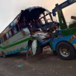 Bus knocks elephant1