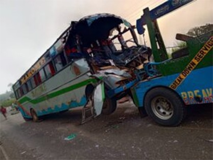 Bus knocks elephant1