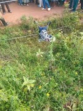 5 year old girl electrocuted