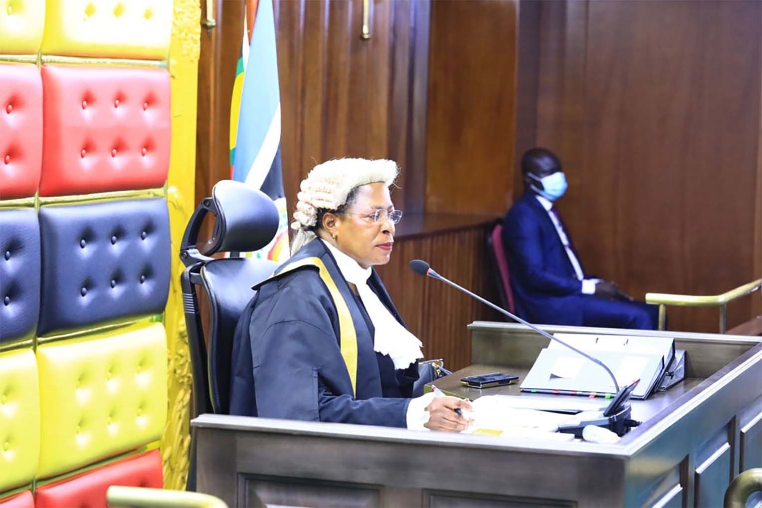 Anita Among Parliament