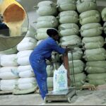 GROW NOVEMBER 2024 - Adjusted.indd