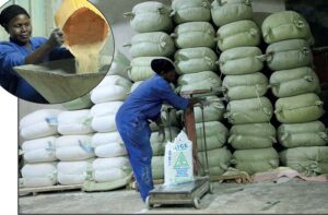 GROW NOVEMBER 2024 - Adjusted.indd