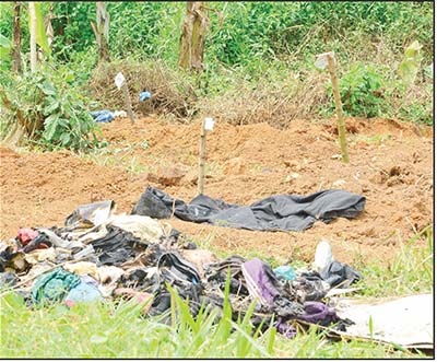 Page 10 Feb 2Reviewed.indd