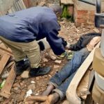 K9 dog trap suspect1