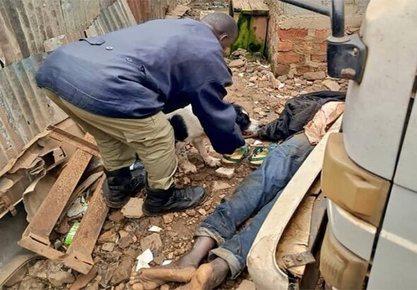 K9 dog trap suspect1