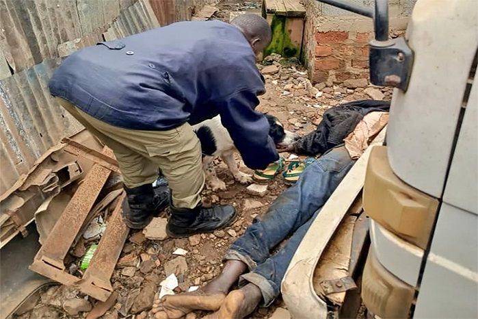 K9 dog trap suspect1