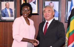 Anite Chinese Investors