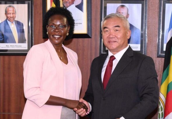 Anite Chinese Investors