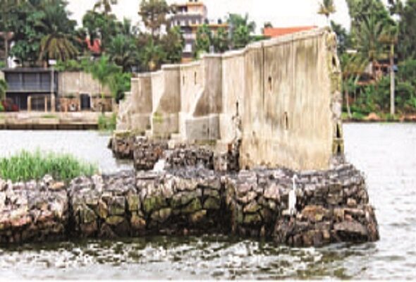 Lake Victoria shoreline