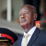 M7 elections