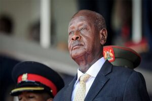 M7 elections