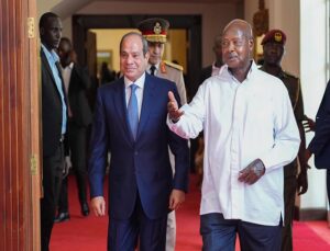 Abdel Fattah El-Sisi at State house