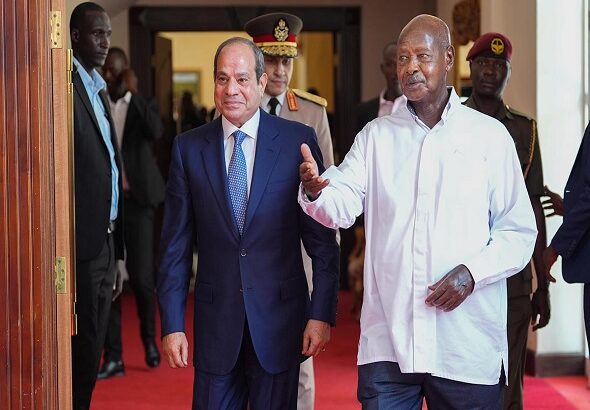 Abdel Fattah El-Sisi at State house
