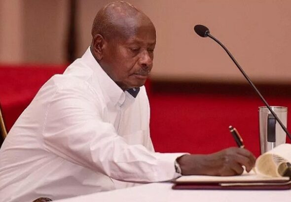M7 Signs