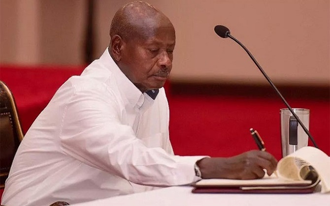 M7 Signs