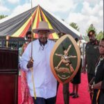 M7 swears4