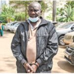 UPDF fake General