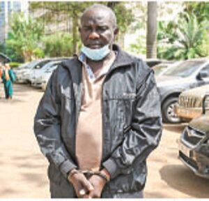 UPDF fake General