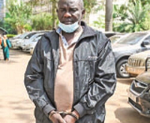 UPDF fake General