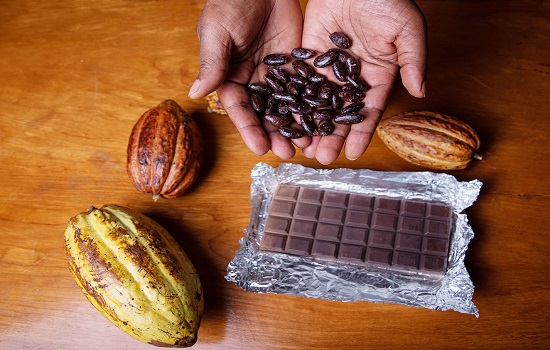 Cocoa,Beans,Held,In,The,Hand,By,A,Farmer,,Next