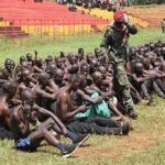 UPDF