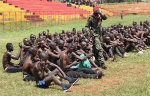 UPDF