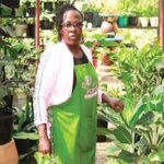 Aine Greenhouse