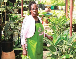 Aine Greenhouse