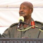 SA M7 returnees