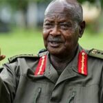 UPDF M7