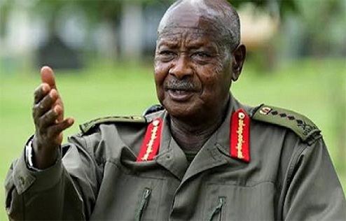 UPDF M7