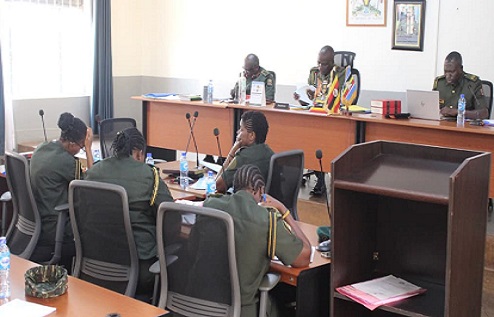 Birungi remanded