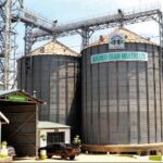 Maganjo Grain Millers