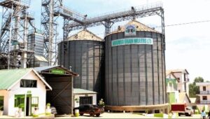 Maganjo Grain Millers